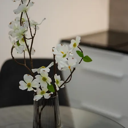 House Living Appartement Warschau